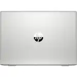 Ноутбук HP ProBook 455 G7 1F3M6EA_ПУ (15.6 ", HD 1366x768 (16:9), AMD, Ryzen 5, 8 Гб, SSD, 256 ГБ, AMD Radeon Vega)