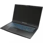Ноутбук Dream Machines RG3060-17EU38 GS7AG0R (17.3 ", FHD 1920x1080 (16:9), Intel, Core i7, 16 Гб, SSD, 1 ТБ, nVidia GeForce RTX 3060)