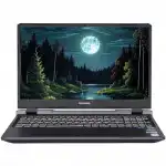 Ноутбук Colorful EVOL P15 24 A10205400055 (15.6 ", FHD 1920x1080 (16:9), Intel, Core i5, 16 Гб, SSD, 512 ГБ, NVIDIA GeForce RTX 4060)