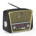 Портативная колонка Ritmix RPR-050 gold RPR-050-GOLD (Золото)