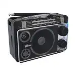 Портативная колонка Ritmix Радиоприемник портативный RPR-171 (Черный)