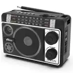 Портативная колонка Ritmix Радиоприемник портативный RPR-171 (Черный)