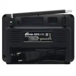 Портативная колонка Ritmix Радиоприемник портативный RPR-171 (Черный)