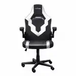 Компьютерный стул Trust GXT703W Riye 25130