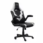 Компьютерный стул Trust GXT703W Riye 25130