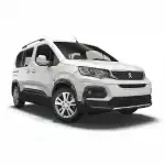 Peugeot Rifter Long PeuRif1