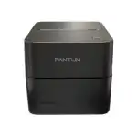 Принтер этикеток Pantum DT PT-D160N