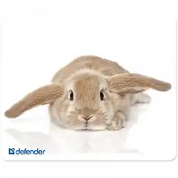 Коврик для мышки Defender Silk 50706/50707