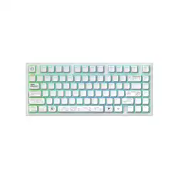 Клавиатура Dark Project Project ALU81A Terra Nova White DPKB_NOVA_81_ANSI_WHITE (Беспроводная, USB)