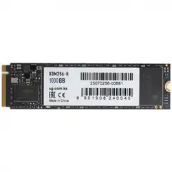 Внутренний жесткий диск XG XGM1000-R (SSD (твердотельные), 1 ТБ, M.2, PCIe)