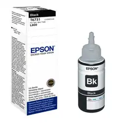 Струйный картридж Epson T6731 Черный C13T67314A