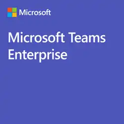 Офисный пакет Microsoft Teams Enterprise - 1 год CFQ7TTC0MZJF:0009_YY
