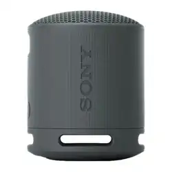 Портативная колонка Sony SRS-XB100/BCE (Черный)