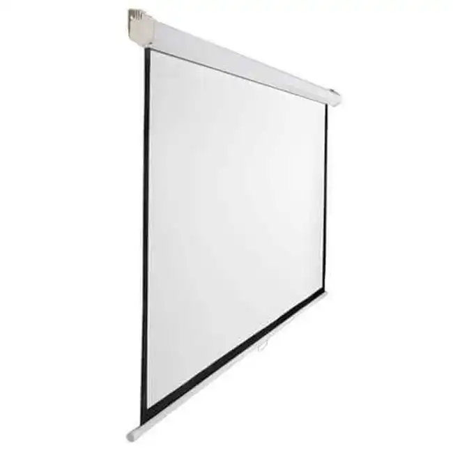 Экран PROscreen EWS3120
