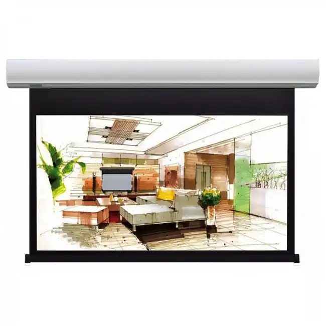 Экран Lumien LCC-100113