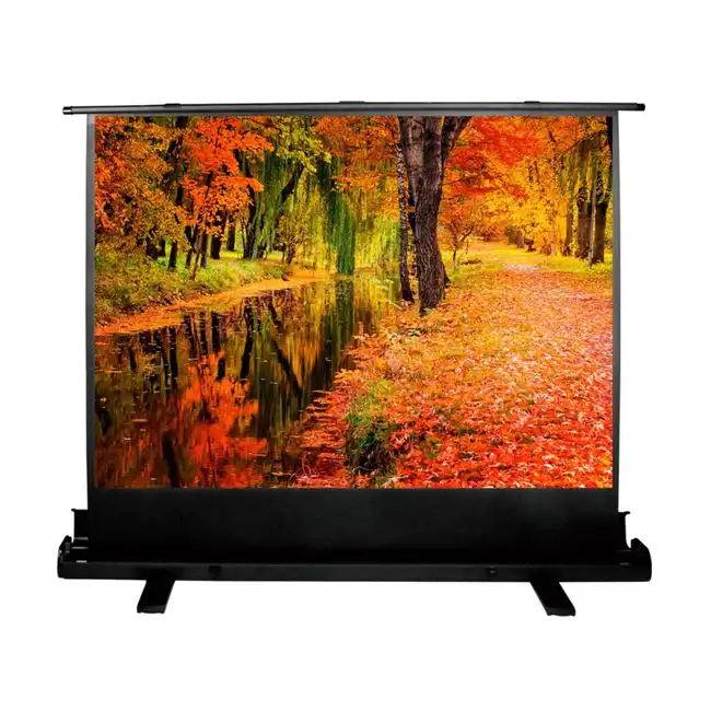 Экран Cactus Floor Expert CS-PSFLE-200X150 4:3