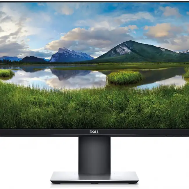 Монитор Dell P2421DC 2421-0285 (23.8 ", IPS, WQHD 2560x1440 (16:9), 60 Гц)