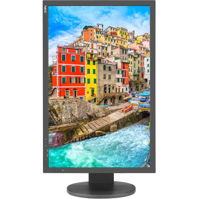 Монитор NEC PA243W-BK (24 ", IPS, FHD 1920x1200 (16:10), 60 Гц)