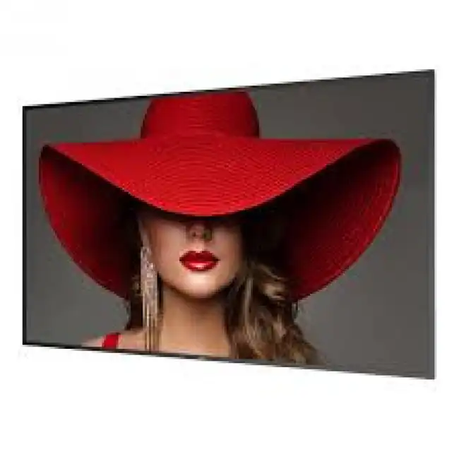 LED / LCD панель Philips 65BDL4650D 65BDL4650D (00/01) (65 ")