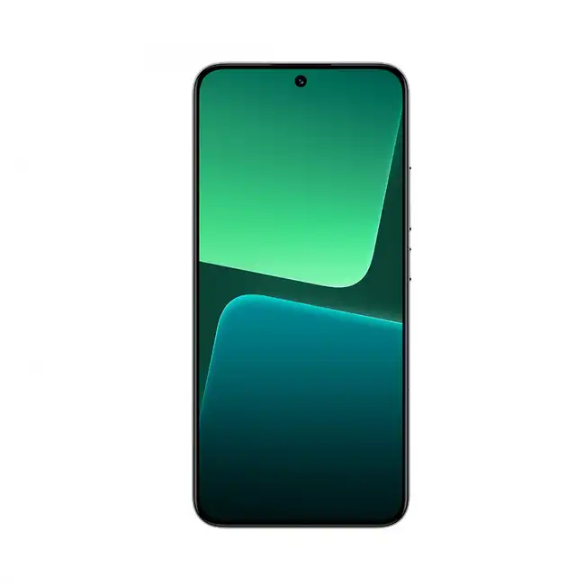 Смартфон Xiaomi 13 2211133G-GREEN (256 Гб, 12 Гб)