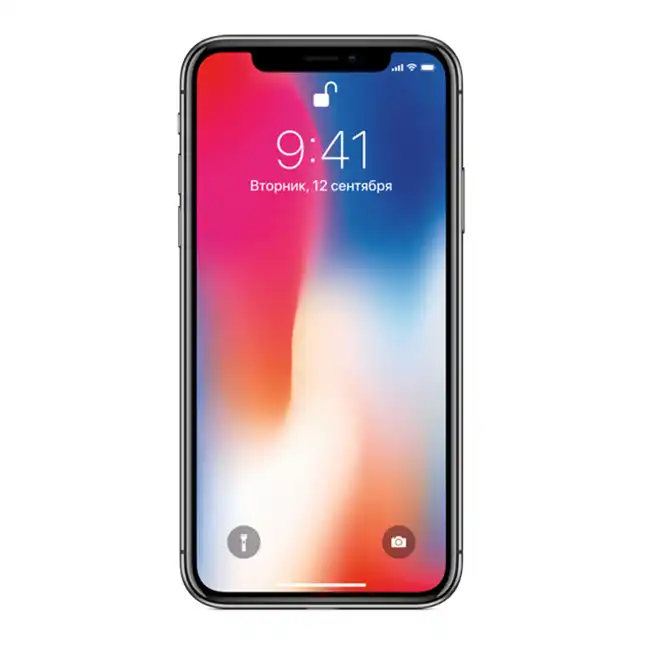 Смартфон Apple iPhone X 256GB Space Grey MQAF2RU/A