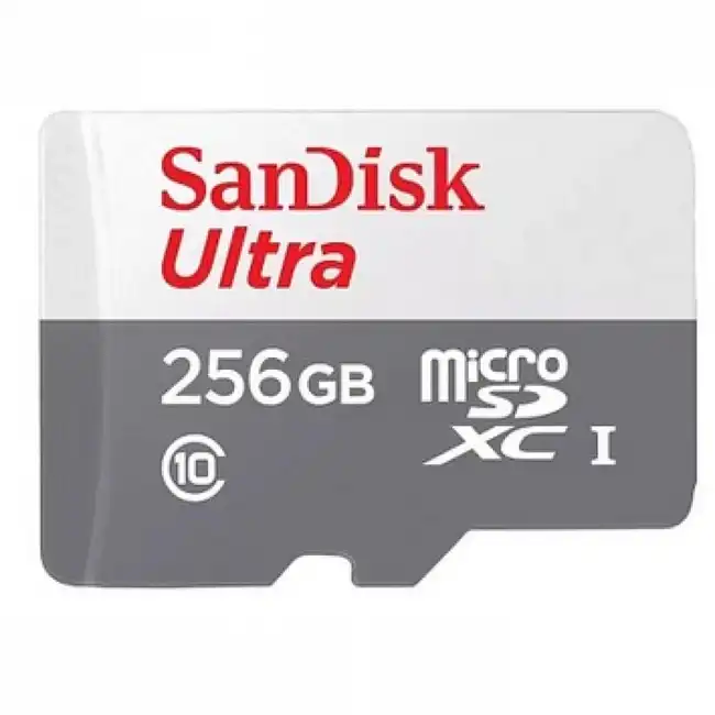 Флеш (Flash) карты SanDisk SDSQUNR-256G-GN3MN (256 ГБ)