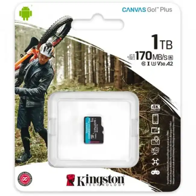 Флеш (Flash) карты Kingston Canvas Go! Plus SDCG3/1TBSP (1 ТБ)