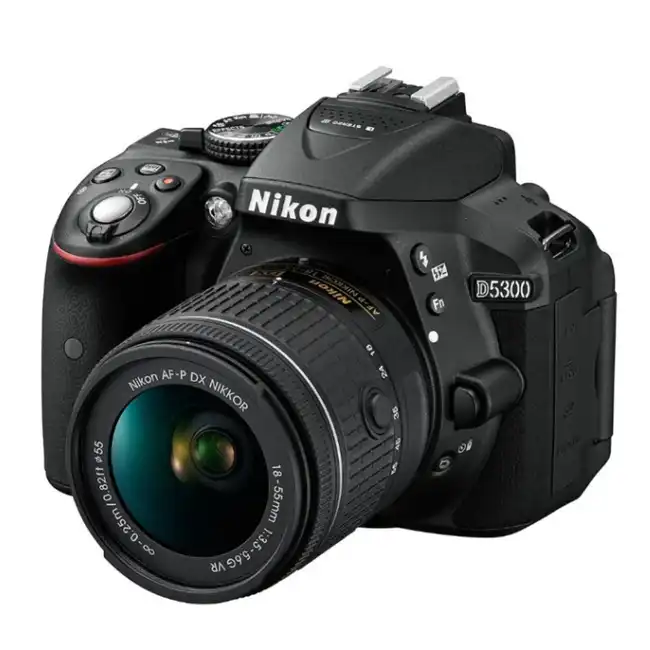 Фотоаппарат Nikon D5300 Kit 18-55VR AF-P