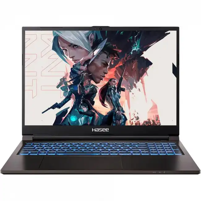 Ноутбук Hasee T8-DA7NP+ (16 ", WQXGA 2560x1600 (16:10), Intel, Core i7, 16 Гб, SSD, 512 ГБ, nVidia GeForce RTX 3060)