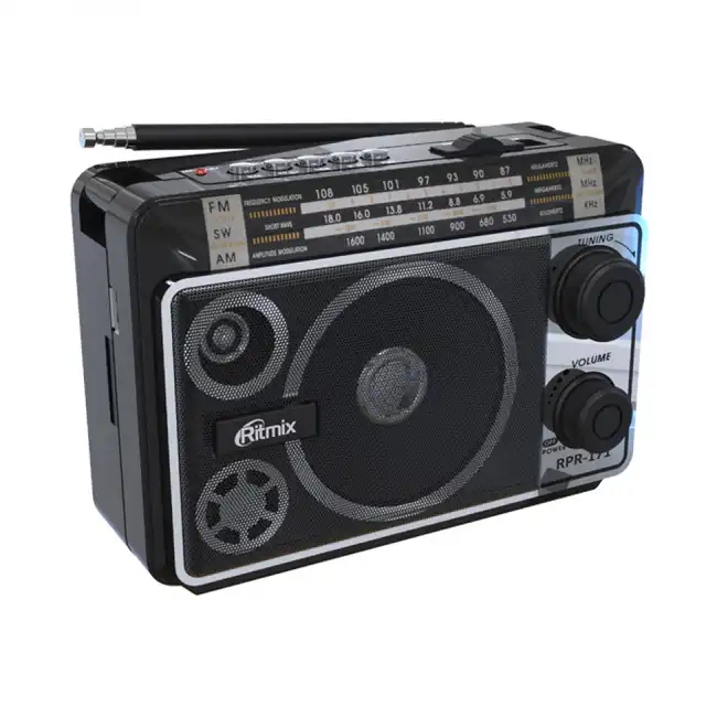 Портативная колонка Ritmix Радиоприемник портативный RPR-171 (Черный)