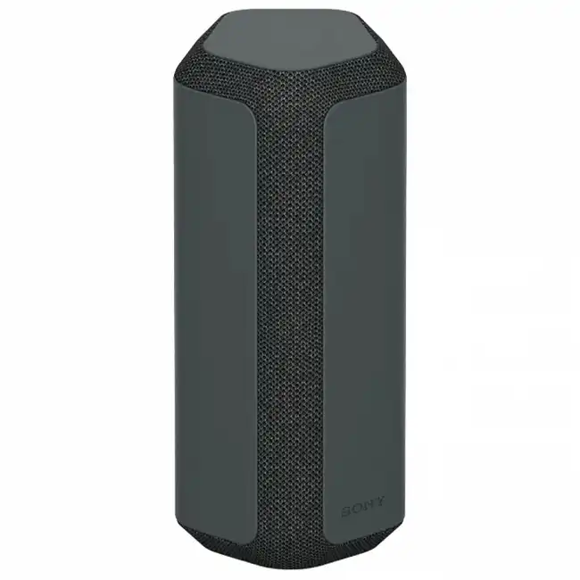 Портативная колонка Sony SRS-XE300/BCE (Черный)