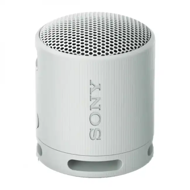 Портативная колонка Sony SRS-XB100/HCE