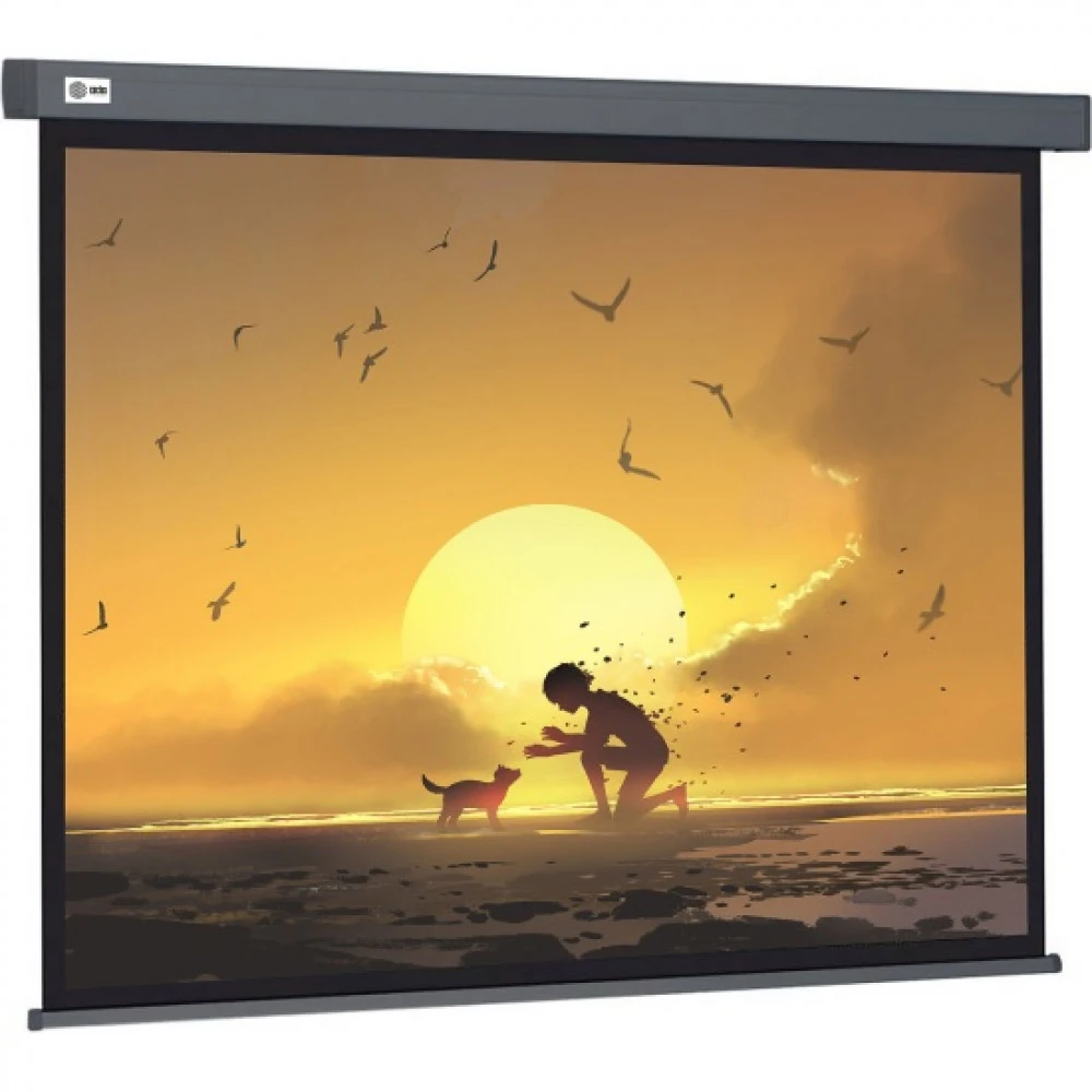 Проекционный экран Cactus Wallscreen CS-PSW-150X150-SG