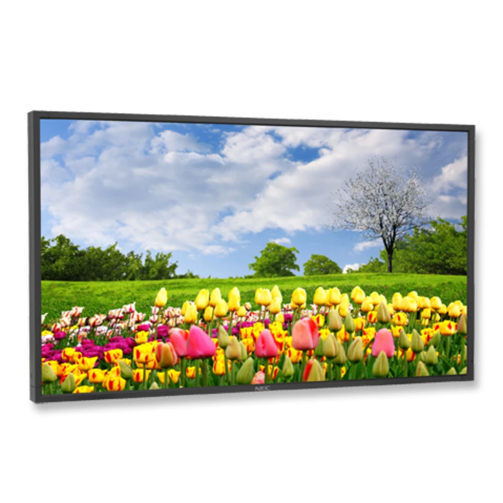 LED / LCD панель NEC MultiSync® X462HB 60003174 46 "