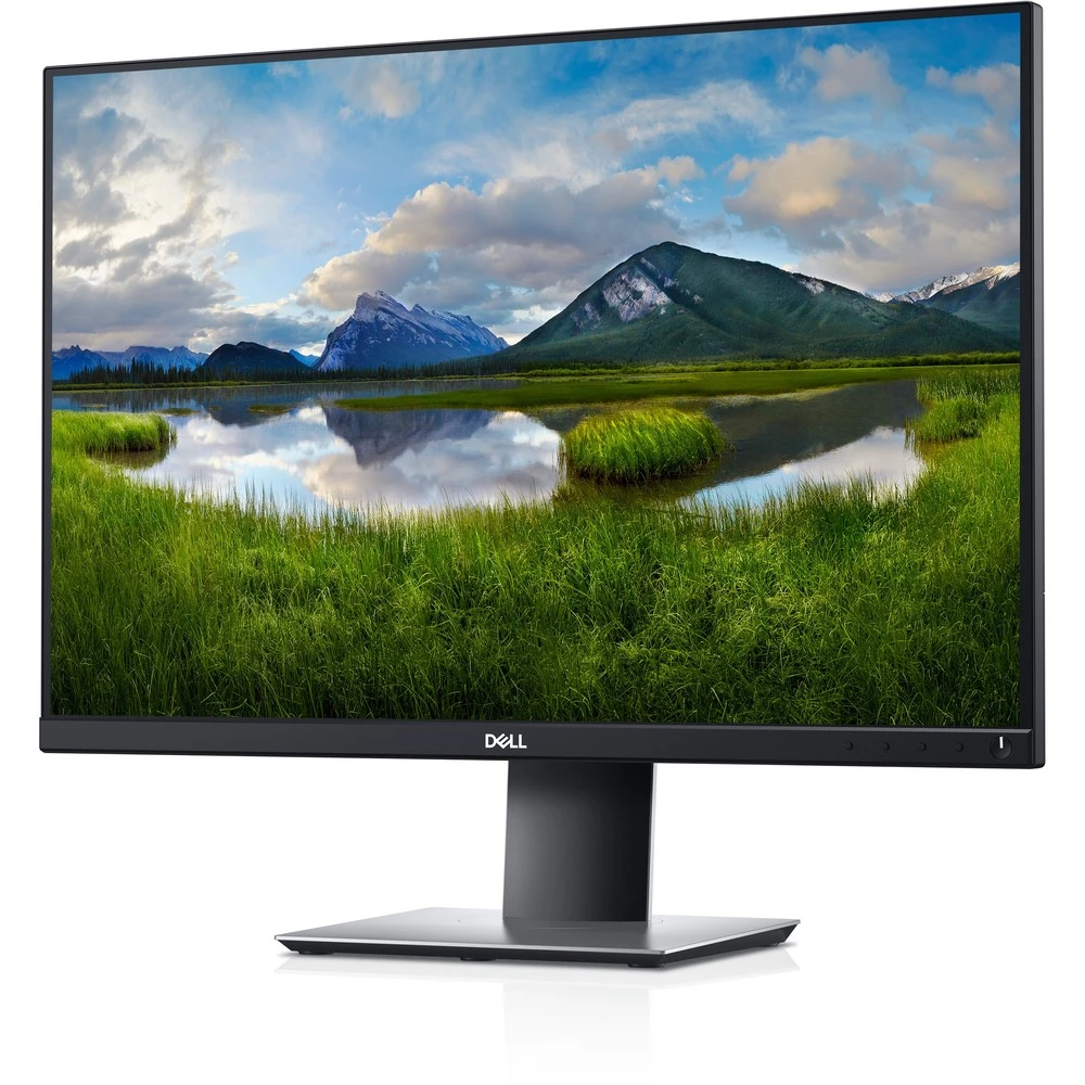 Монитор Dell P2421 210-AWLE