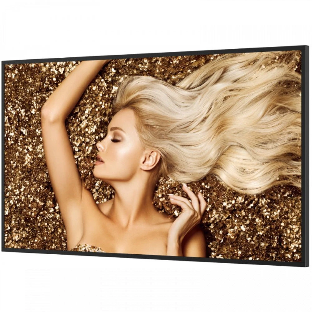 LED / LCD панель BenQ SL4302K 43 "