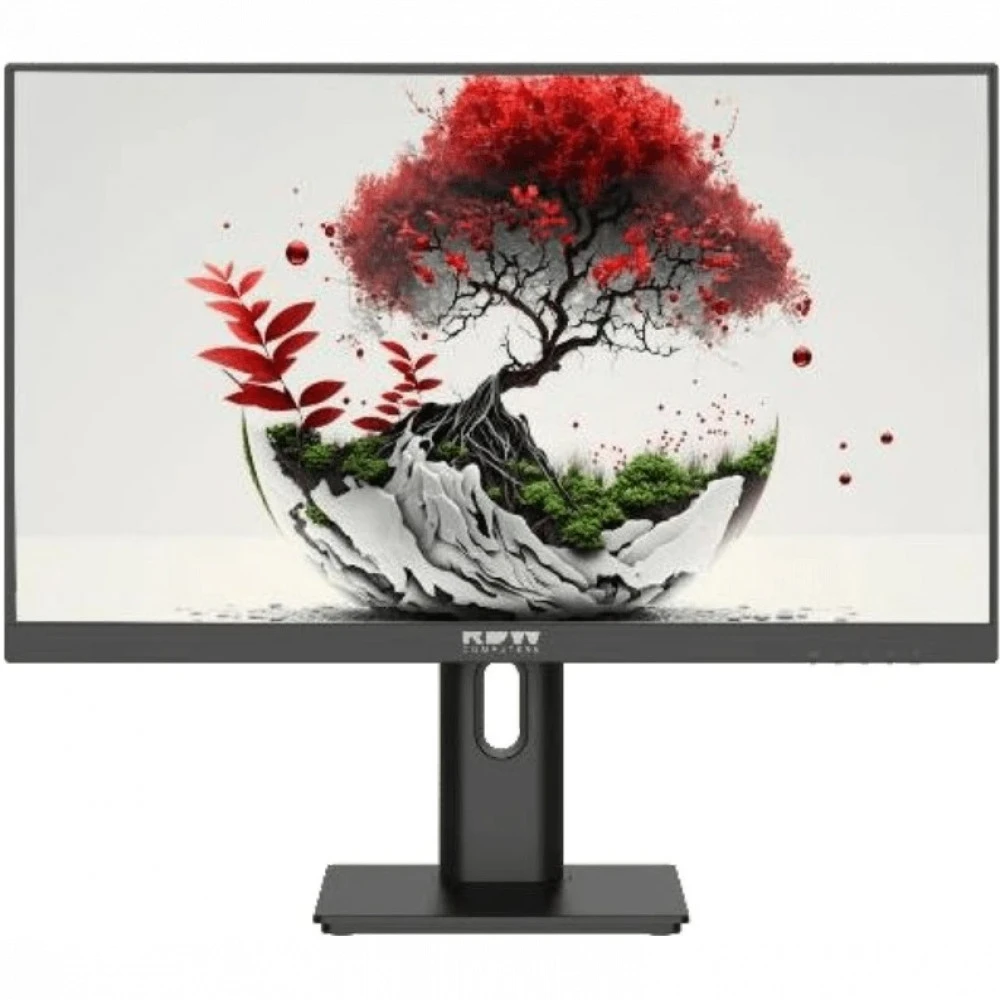 Монитор RDW Computers F08B3100V2A1A 2401K/F08B3100V2A1A 23.8 ", IPS, Full HD 1920x1080 (16:9), 100 Гц