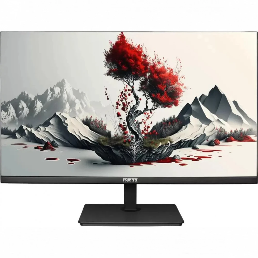 Монитор RDW Computers F08В0120V2A1B 2401K/F08В0120V2A1B 23.8 ", IPS, Full HD 1920x1080 (16:9), 120 Гц