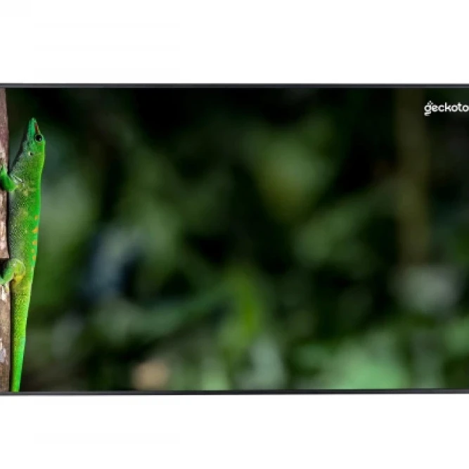 LED / LCD панель Geckotouch 55DCR 55 "