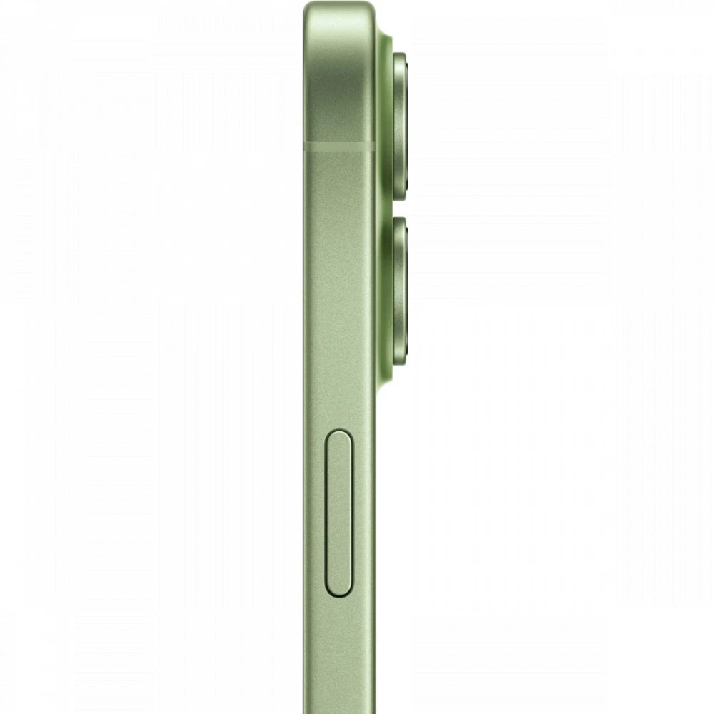Смартфон Apple iPhone 17 256Gb Sage (eSIM only) MG6C4J/A 256 Гб, 8 Гб