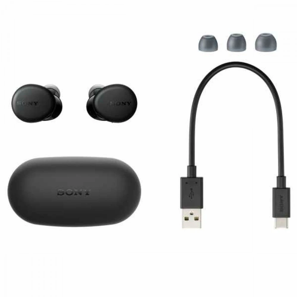 Наушники Sony WF-XB700 WFXB700B.E