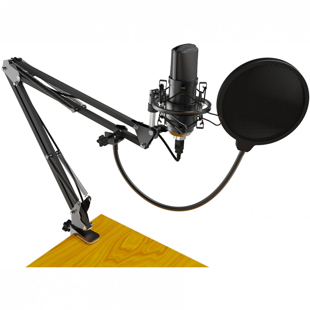 Микрофон Ritmix RDM-169 USB Black