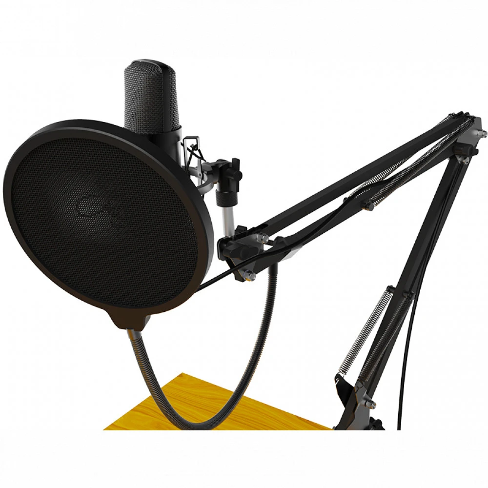 Микрофон Ritmix RDM-169 USB Black