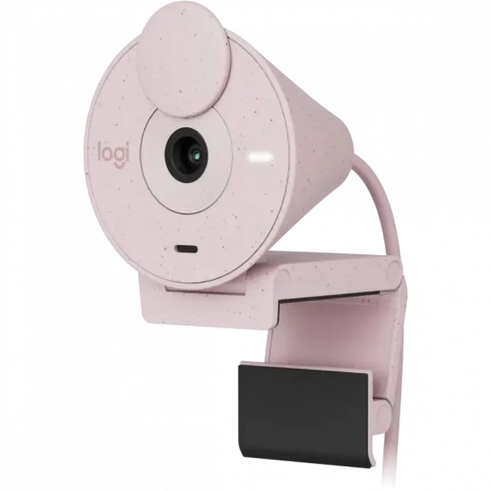 Веб камеры Logitech BRIO 300 Rose 960-001448