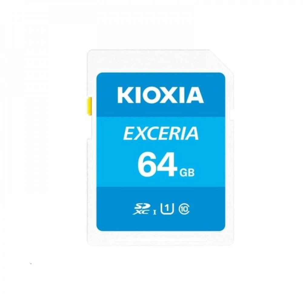 Флеш (Flash) карты KIOXIA LNEX1L064GG4 64 ГБ