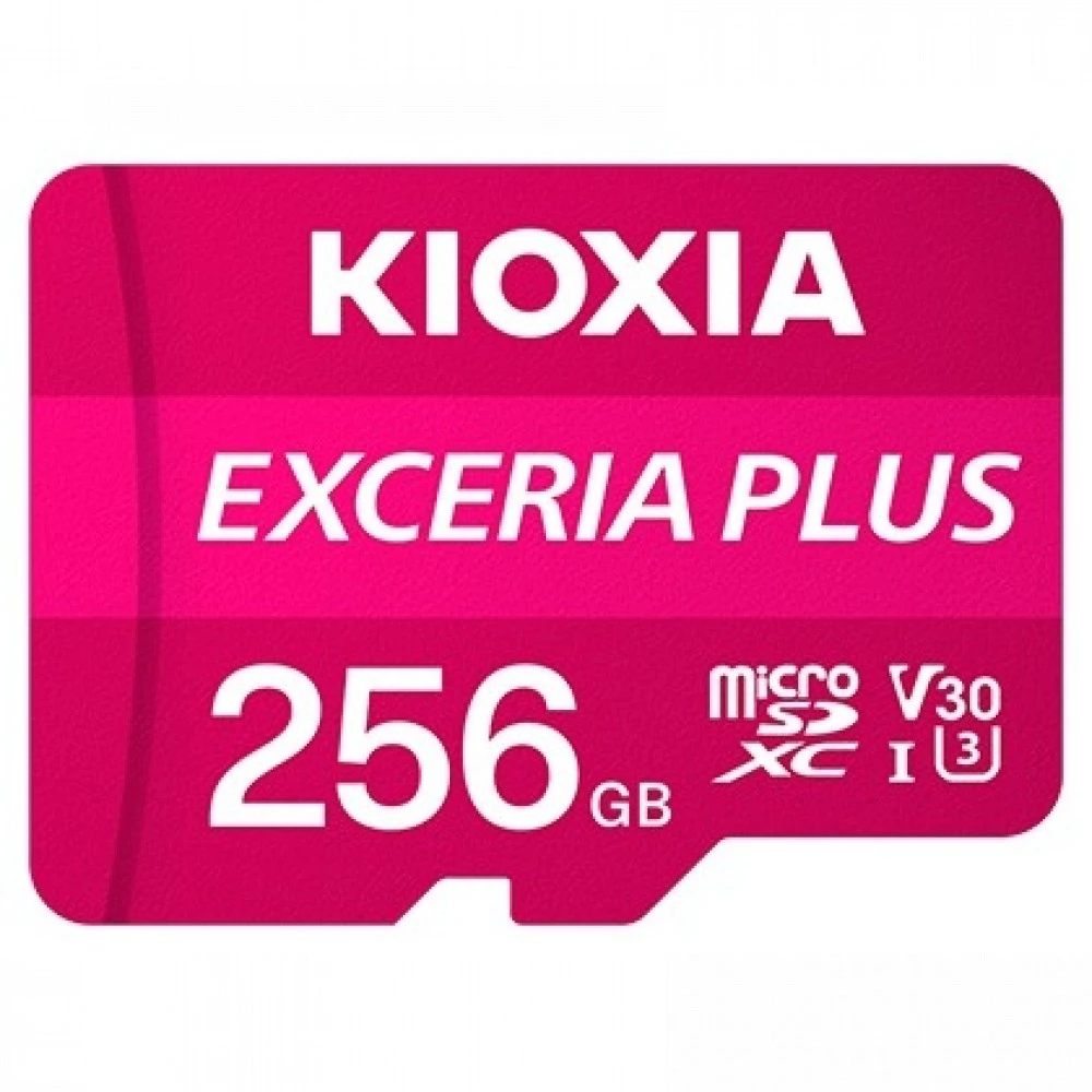 Флеш (Flash) карты KIOXIA LMPL1M256GG2 256 ГБ