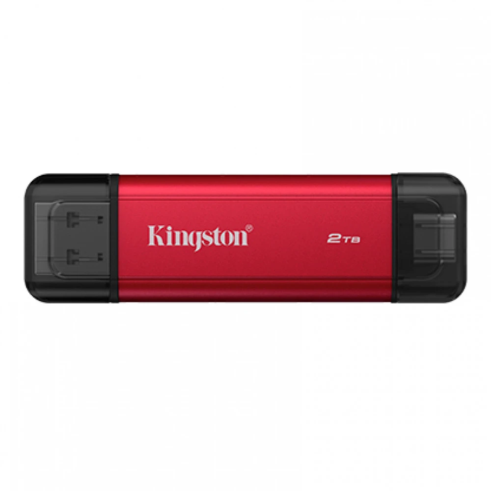 USB флешка (Flash) Kingston SPSD/2TB 2 ТБ