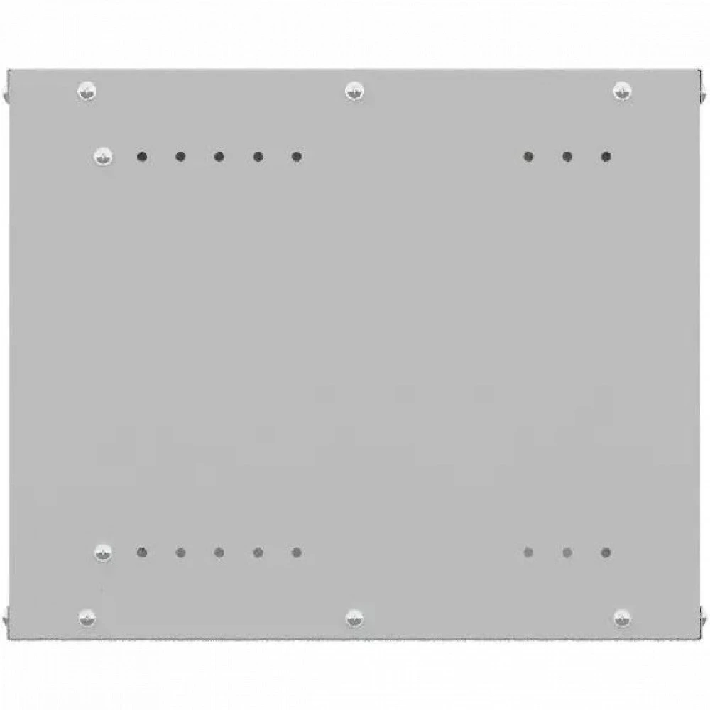 Серверный шкаф NTSS Lime настенный 6U 550x600мм NTSS-WL6U5560GS