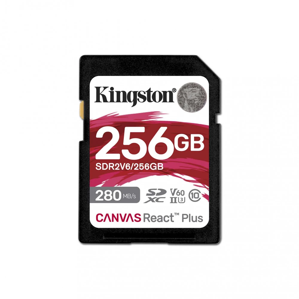 Флеш (Flash) карты Kingston SDR2V6/256GB 256 ГБ