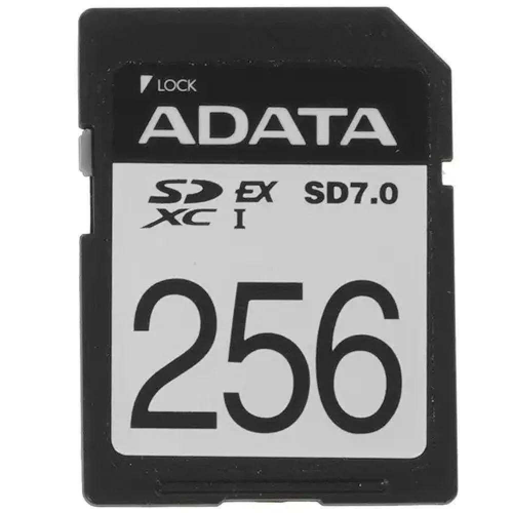Флеш (Flash) карты ADATA ASD256GEX3L1-C 256 ГБ